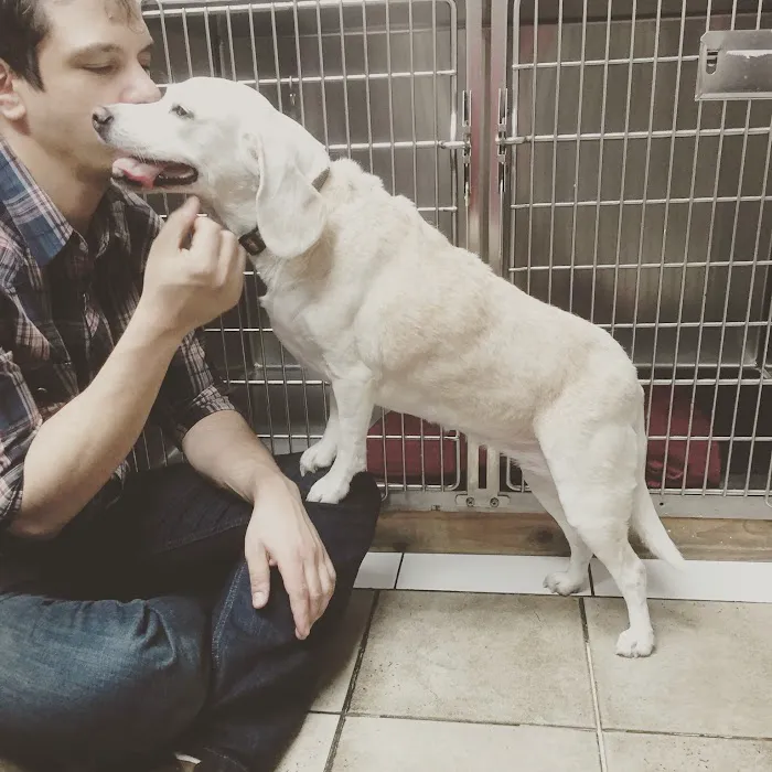 Broadway Pet Hospital 9