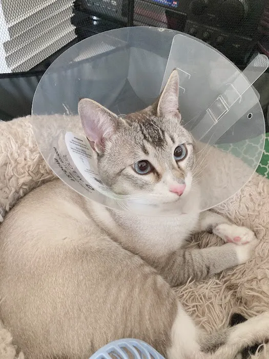 Broadway Pet Hospital 1