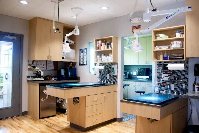 Cats & Dogs Animal Hospital 8