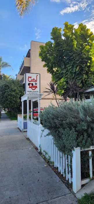Cats & Dogs Animal Hospital 7