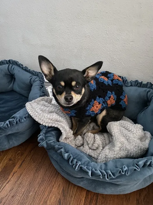 Lbc Vets Primary and Urgent Care 3
