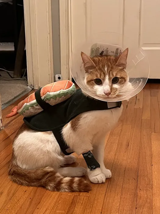 Lbc Vets Primary and Urgent Care 6
