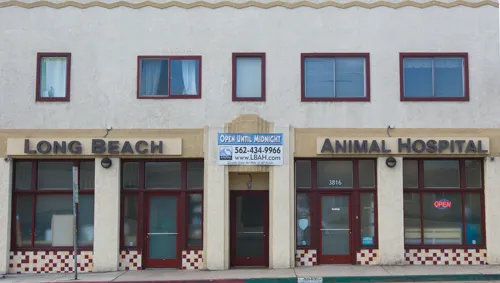 Long Beach Animal Hospital 1
