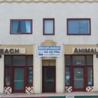 Long Beach Animal Hospital ico