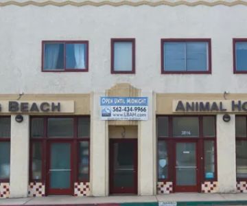 Long Beach Animal Hospital