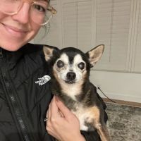 Beach Vet Hospital: Valikov Ena DVM ico