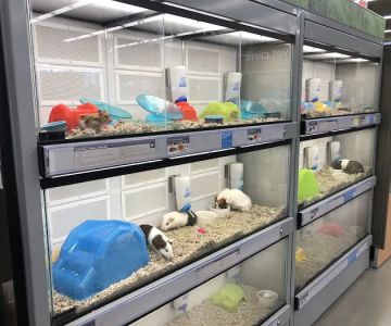 Petco