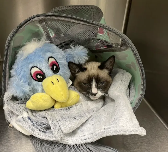 Parkview Pet Hospital - Long Beach 12