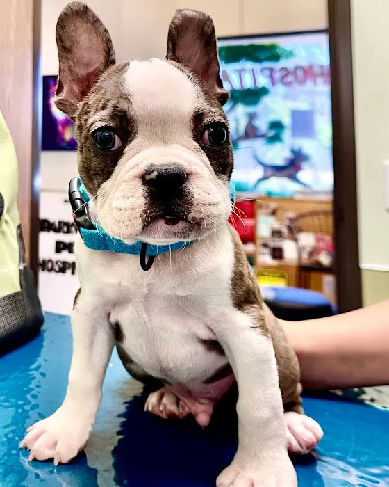 Parkview Pet Hospital - Long Beach 12