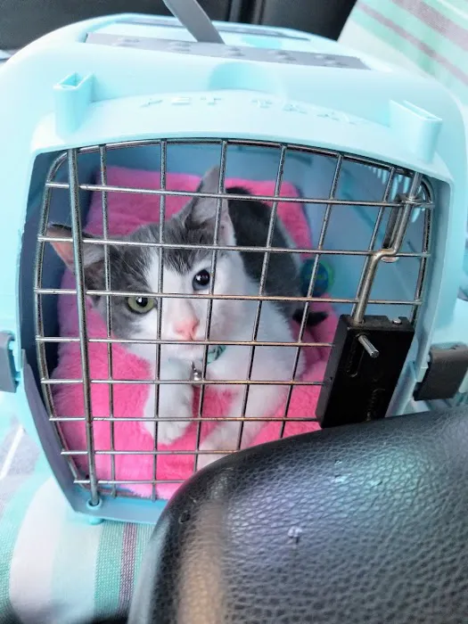 Primary Care Animal Hospital 12