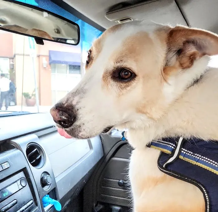 Primary Care Animal Hospital 12