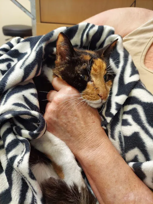 Primary Care Animal Hospital 12