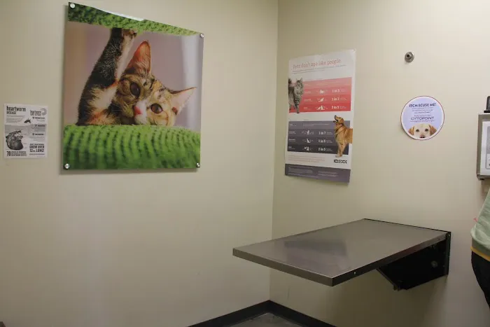 Vetco Total Care Animal Hospital 12