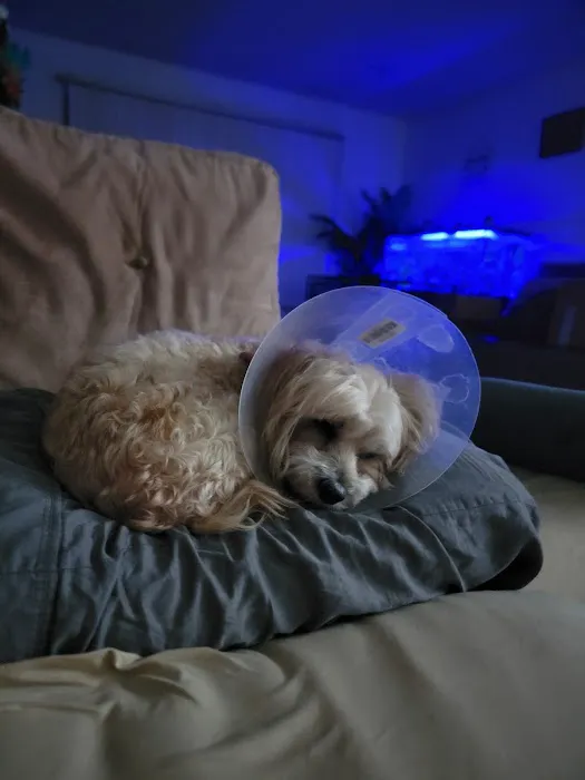 Vetco Total Care Animal Hospital 12