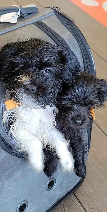 Banfield Pet Hospital 1