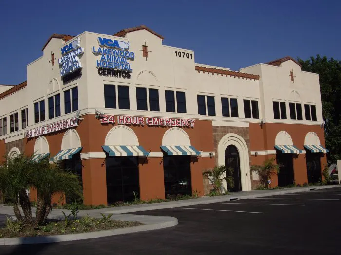 VCA Lakewood Animal Hospital 12