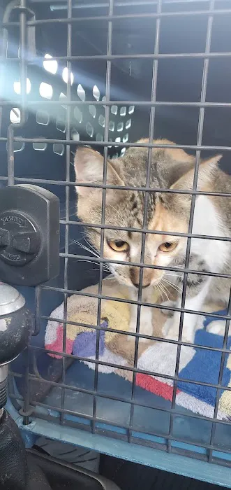 VCA Lakewood Animal Hospital 12