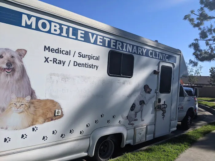 Mobile veterinary clinic 12