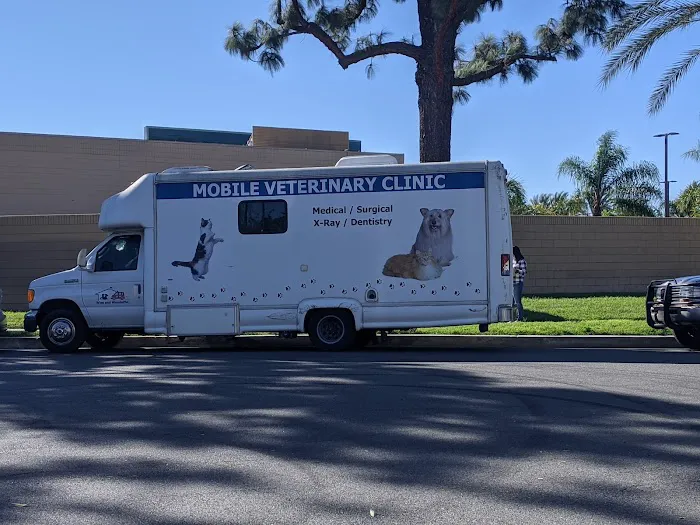 Mobile veterinary clinic 12