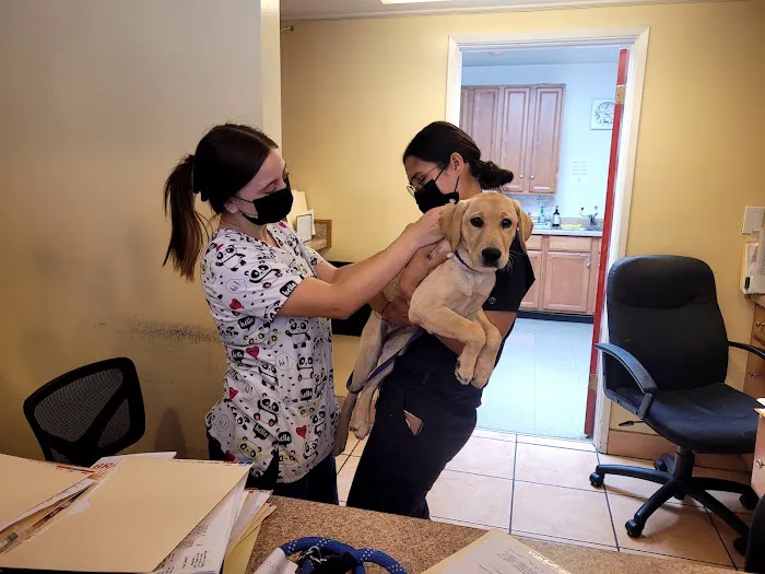 Bellflower Pet Hospital & Hotel 7
