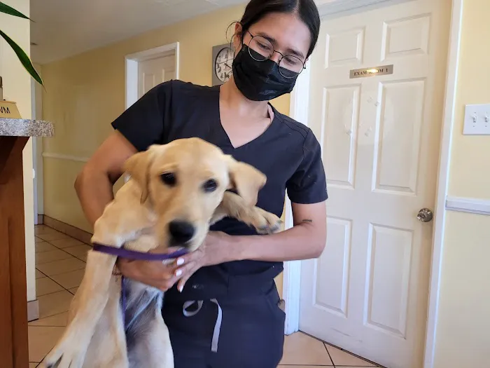 Bellflower Pet Hospital & Hotel 4