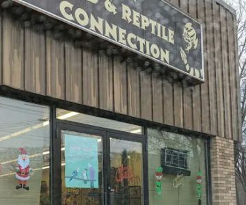 Bird & Reptile Connection