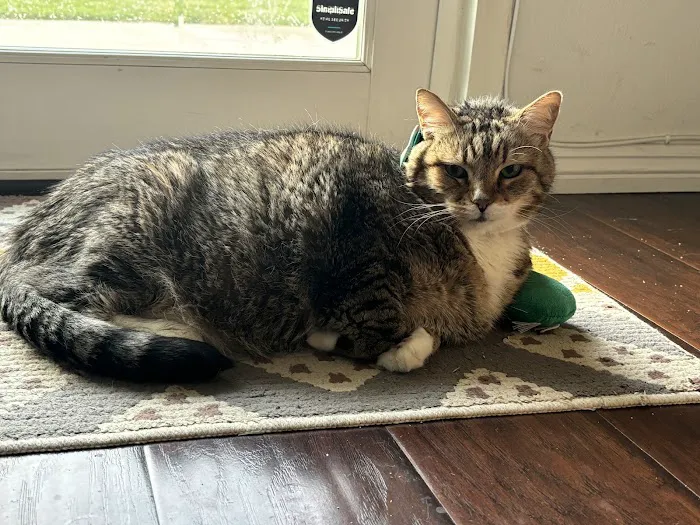 Vetco Total Care Animal Hospital 1