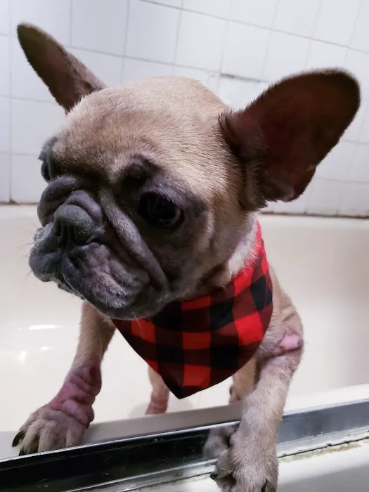 Vetco Total Care Animal Hospital 2