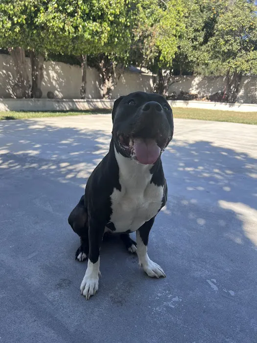Vetco Total Care Animal Hospital 8