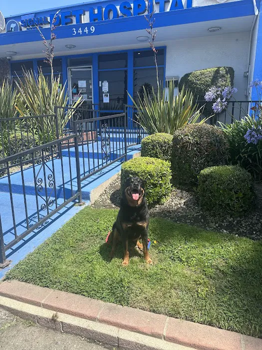 Signal Hill Pet Hospital 12