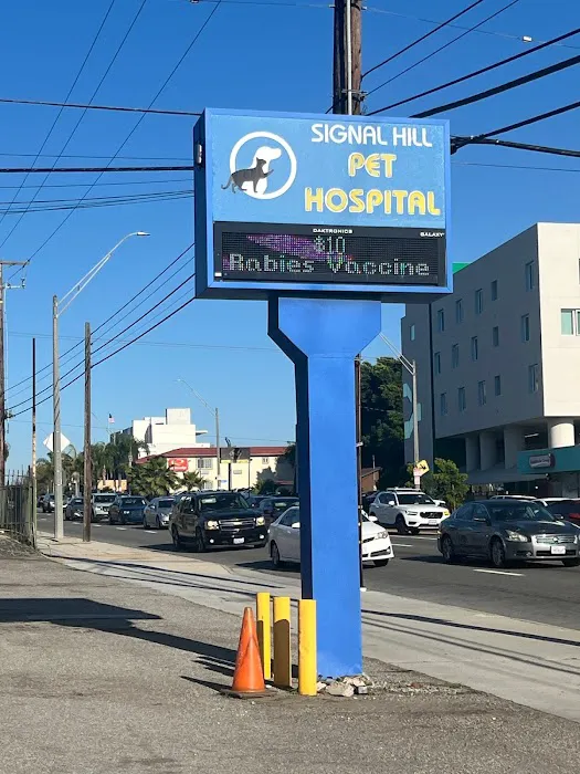 Signal Hill Pet Hospital 12