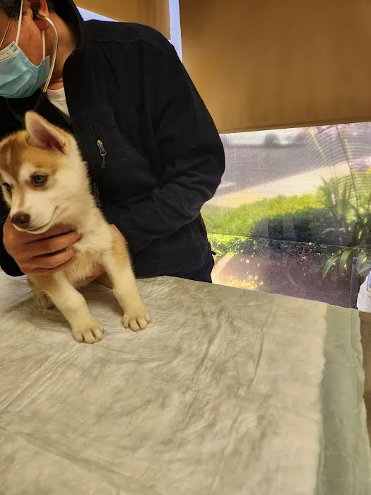 Petra Pet Clinic 7