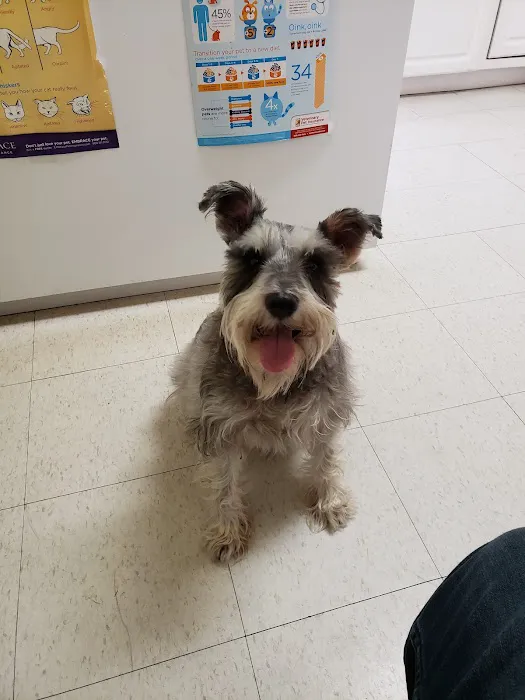 Petra Pet Clinic 2