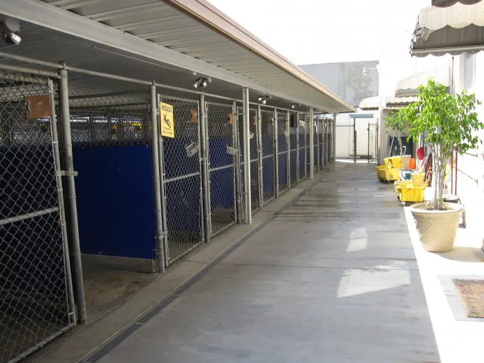 VCA La Mirada Animal Hospital 1