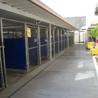 VCA La Mirada Animal Hospital ico