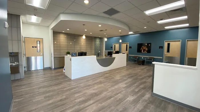 VCA La Mirada Animal Hospital 4