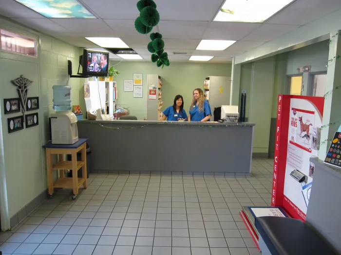 VCA La Mirada Animal Hospital 3