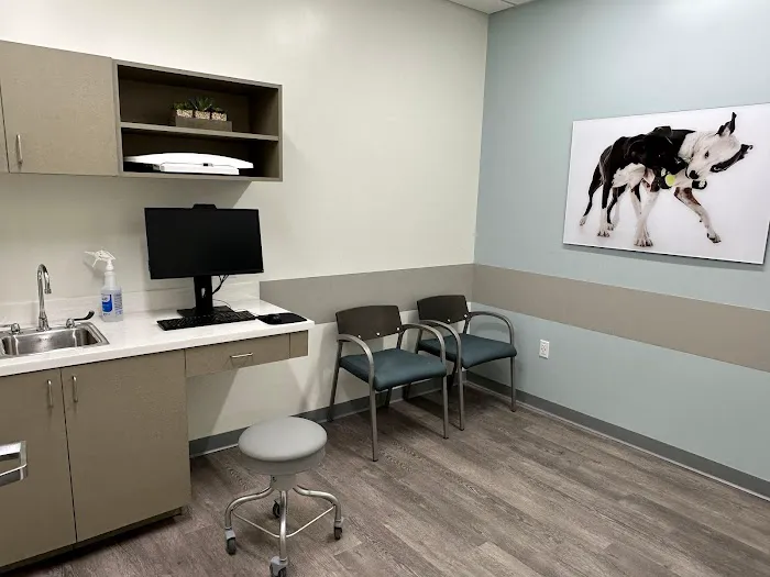 VCA La Mirada Animal Hospital 8