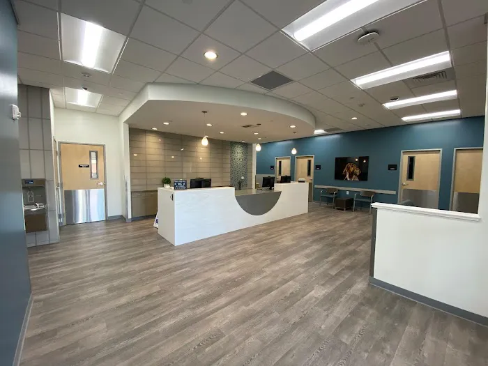 VCA La Mirada Animal Hospital 2
