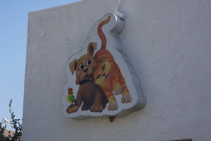 VCA La Mirada Animal Hospital 6
