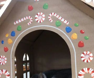 Pet World