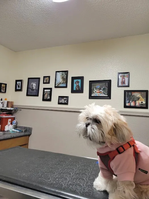 Bothell Pet Hospital 12
