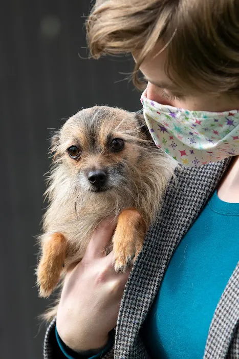 Bothell Pet Hospital 12