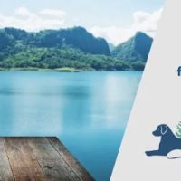 Bothell Pet Hospital ico