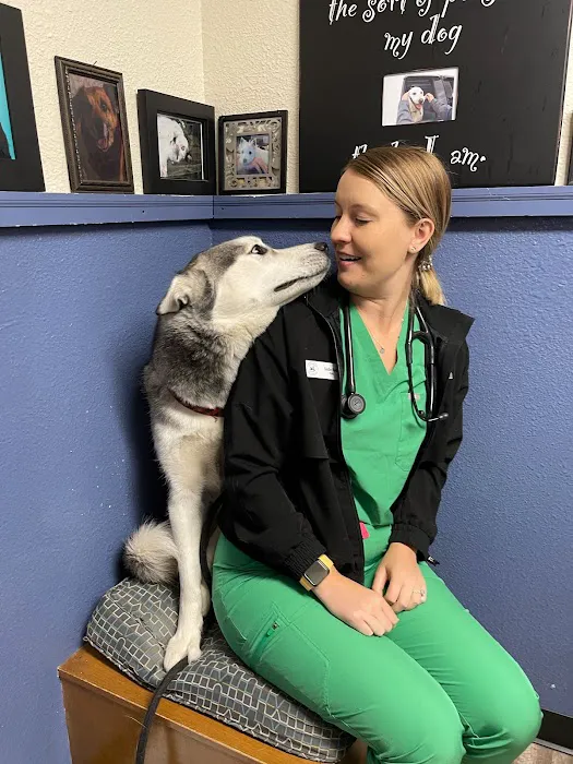 Bothell Pet Hospital 12