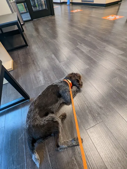 Banfield Pet Hospital 12