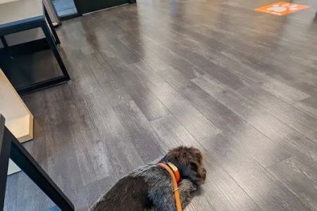 Banfield Pet Hospital