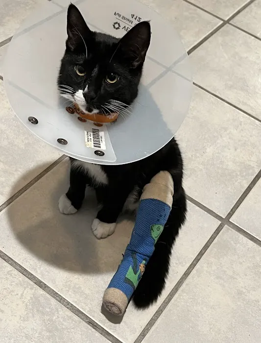 Banfield Pet Hospital 12