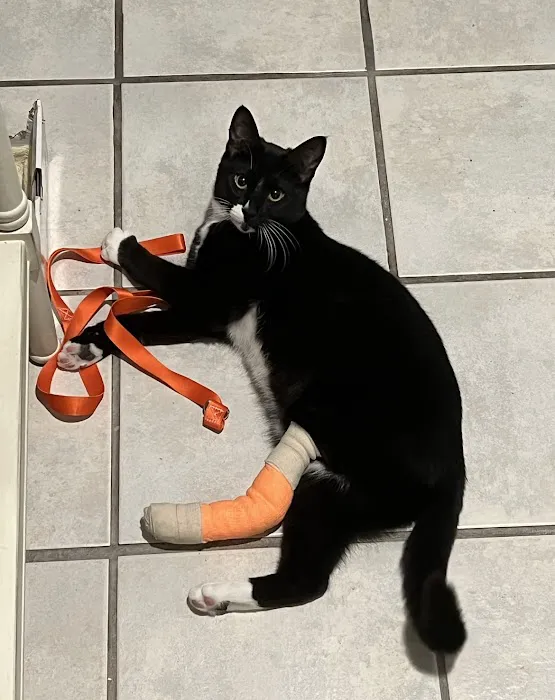 Banfield Pet Hospital 12