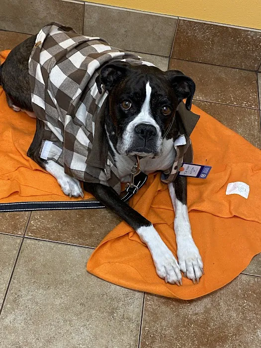 Banfield Pet Hospital 12